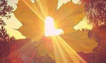 人生婚姻感悟的句子