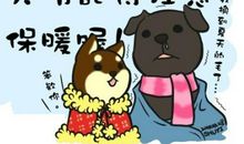 形容天冷的搞笑说说