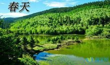 适合春天发的朋友圈句子