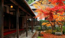 对母亲感激的短句