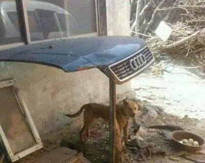 qq个性说说带图片 13