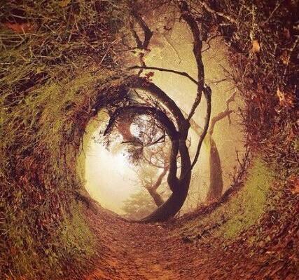 兄弟和亲戚应该互相谈论