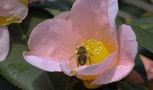 早安励志的生活语录 有力量的励志短句