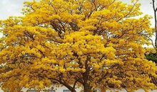 最能激励自己的座右铭