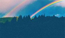 兄弟对我失望的句子