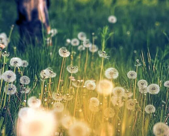 有时候我对生活非常感激