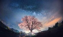 关于心寒失望的句子对朋友