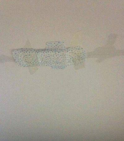 这是我的真爱配方