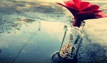 我对感情失望的句子