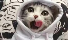 早安搞笑语录 各种早安幽默搞笑说说