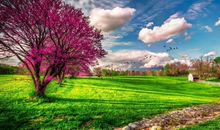 表示心情好的句子大全