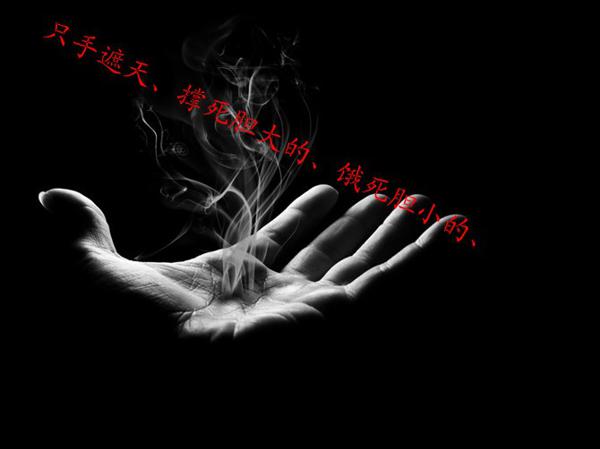 关于社会现实的句子 1