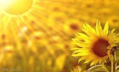 但是每个人对生活的态度都不同