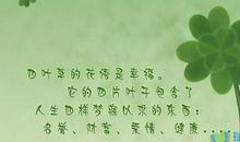 关于幸福的经典句子