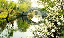 关于思念江南的春的句子