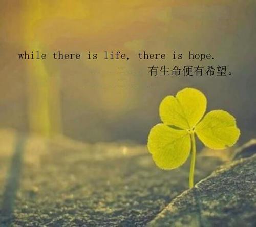 一句有哲理的话英文 0