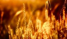 形容很累很开心的句子