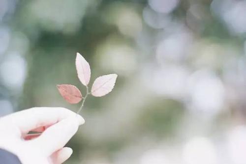 也是表达情感的好地方