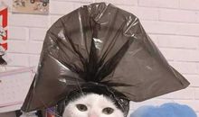 让人开心到有点神经的句子