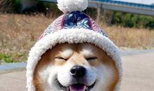 形容像孩子一样开心的句子