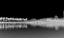 对某人失望的句子或者古诗