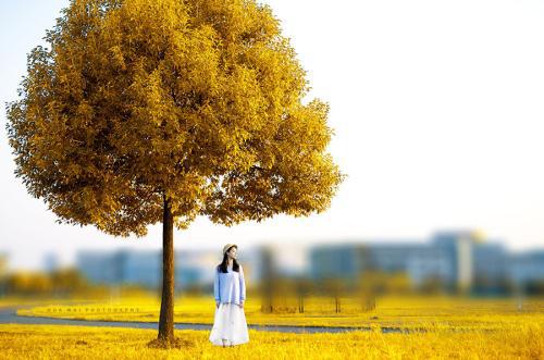 让我们看一下小编编写的描述快乐秋天的句子