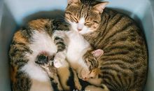 我要开心要快乐的句子