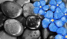 形容亲情一文不值句子