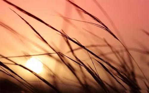 编辑整理了一些有关家庭之爱的眼泪