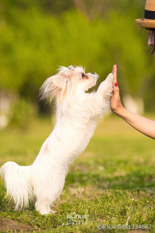 也让我们来看看编辑所编成的关于不快乐和坚强的句子