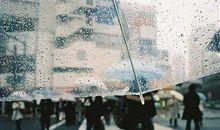 下雨天的伤感经典说说 雨天一个人伤感的句子