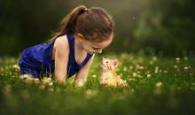 亲情温暖感人的句子