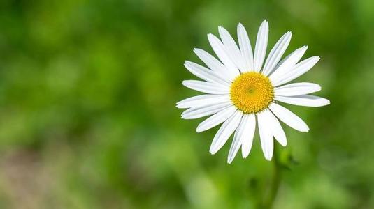 编辑编了一些描述家庭冷漠的句子