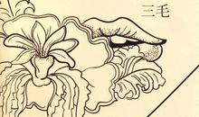 三毛梦里花落知多少经典语录