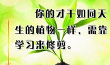 求职简历励志名言