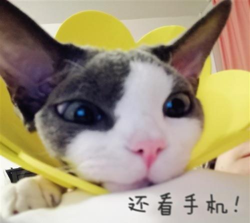 如今人们越来越与手机密不可分