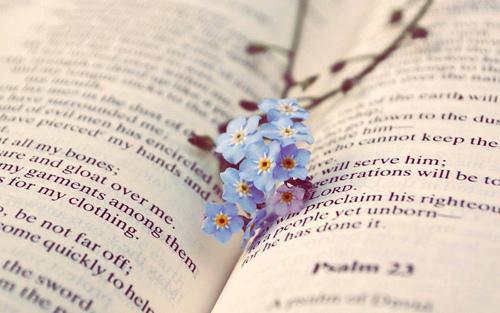 多读书可以使您的心脏更加充实