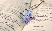 一句激励自己读书的名言 坚持读书的唯美句子