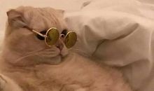 形容搞怪的开心句子说说心情