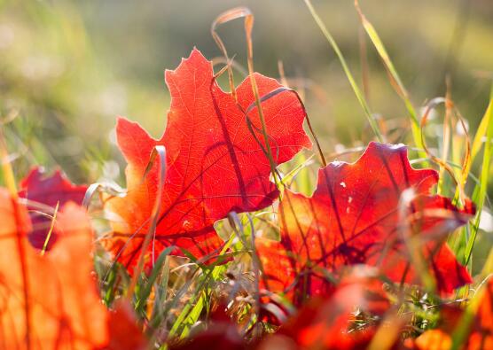 我曾经在小巷里抽烟阻止人们