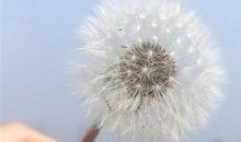 人生苦尽甘来的励志句 终于苦尽甘来的句子