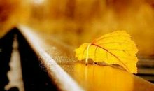 经典句子人生感悟