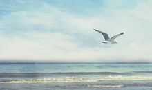 形容笑的很灿烂开心的句子