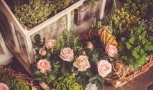 希望人处于开心的句子