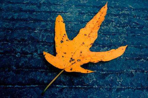 我犯了两个错误