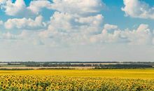 代表玩的比较开心的句子