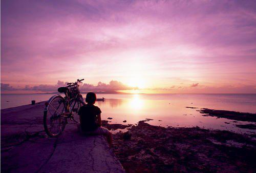 我中断了电话线