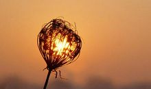 QQ空间感人的情话