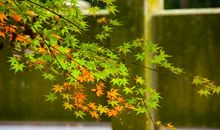 祝你开心快乐的搞笑句子