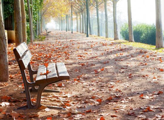 愿爱情的话语拥有主人